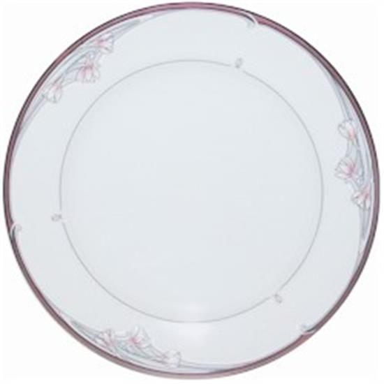 Picture of Dinner Plates