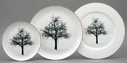 Picture of New Salad Plates