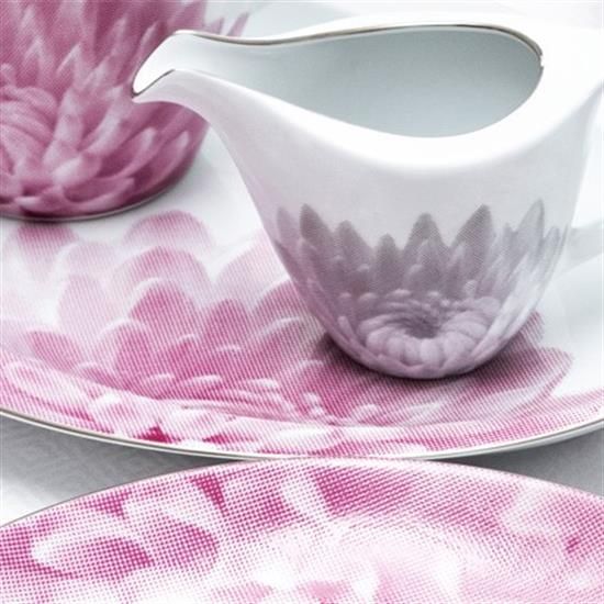 Picture of 5pc. Place Setting