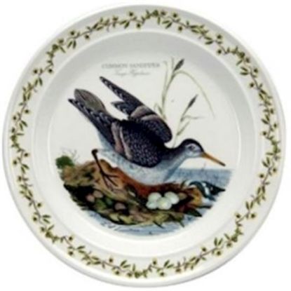 Picture of New Dinner Plate