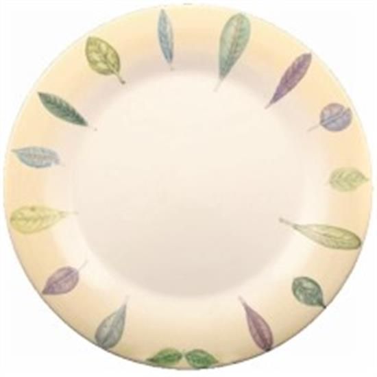 Picture of Dinner Plates