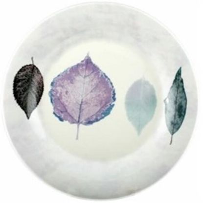 Picture of Dinner Plates