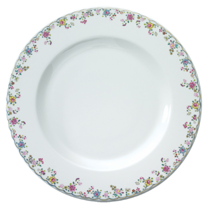 Picture of New Service Plate 12"