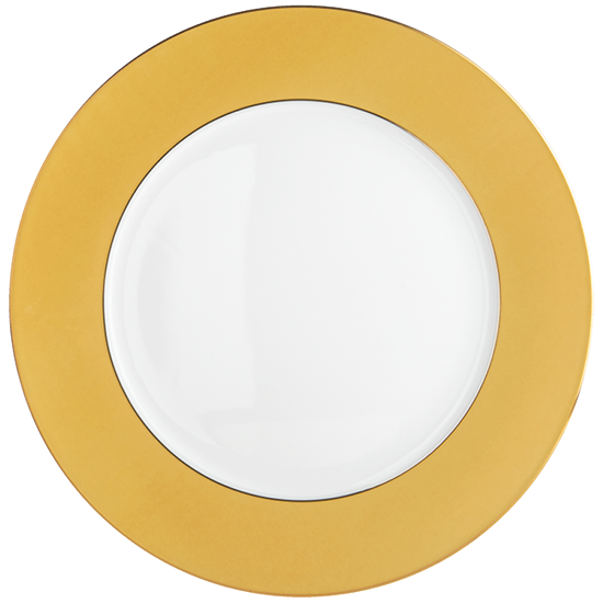 Picture of New Service Plate 12"