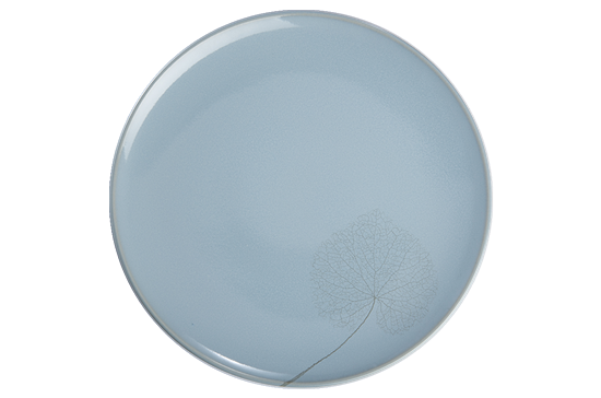 Picture of New Dinner Plate