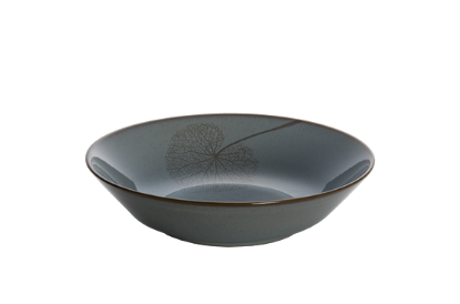 Picture of New Pasta Bowl