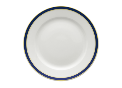 Picture of New Service Plate 12"