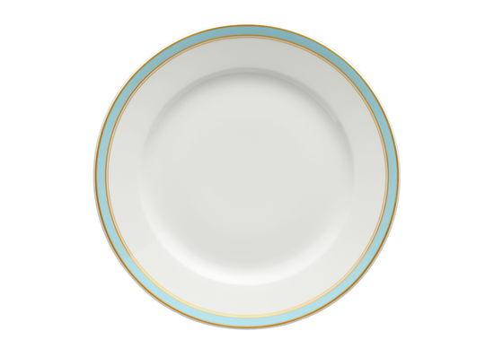 Picture of New Service Plate 12"