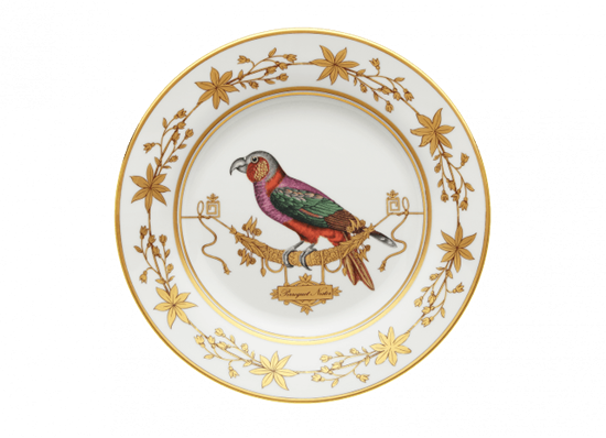 Picture of New Dinner Plate
