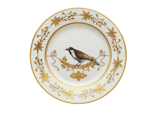 Picture of New Dinner Plate