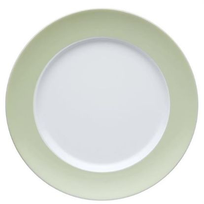 Picture of Dinner Plates