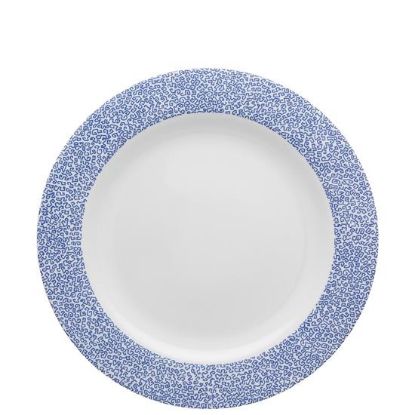 Picture of New Dinner Plate