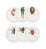 Picture of Vista Alegre Insects Coasters