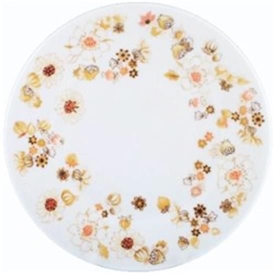 Picture of Dinner Plates