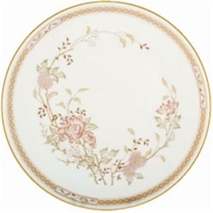 Picture of Dinner Plates