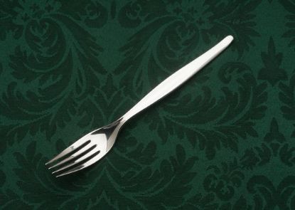 Picture of Place Forks