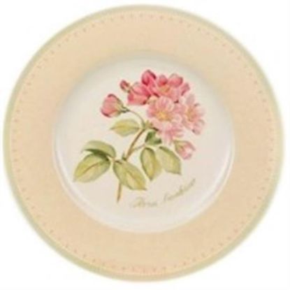 Picture of Dinner Plates