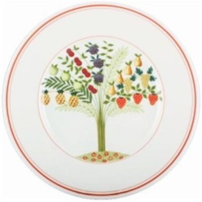 Picture of Dinner Plates