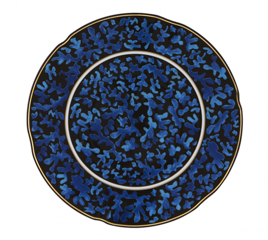 Picture of New Service Plate 12"