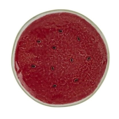 Picture of New Service Plate 12"