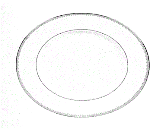 Picture of New Oval Plat. 16"