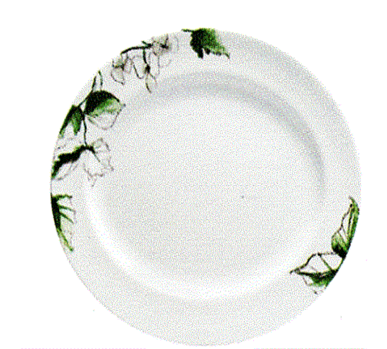 Picture of New Oval Plat. 16"