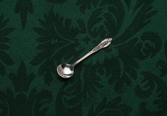Picture of Ind. Salt Spoon