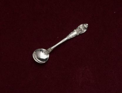 Picture of Ind. Salt Spoon