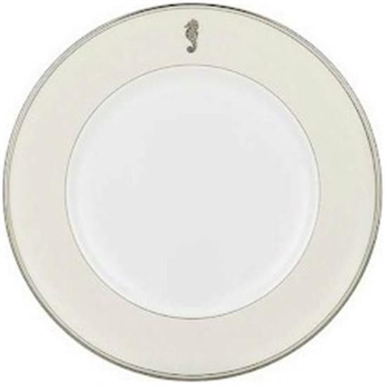 Picture of Dinner Plates