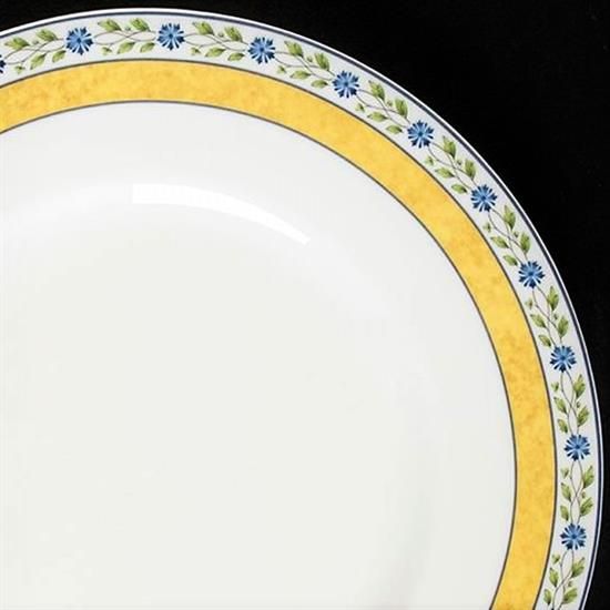 Picture of Dinner Plates
