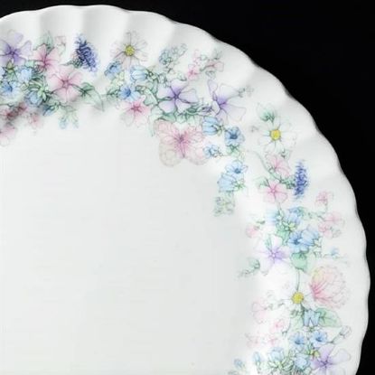 Picture of Dinner Plates