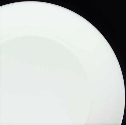Picture of Dinner Plates