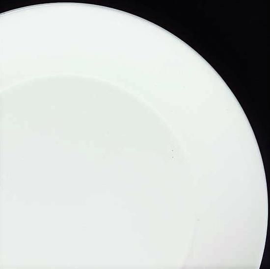 Picture of Dinner Plates
