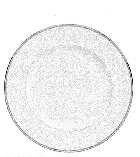 Picture of New Dinner Plate