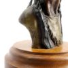 Picture of Vintage Bronze 'Sioux Indian' Bust by David Lemon