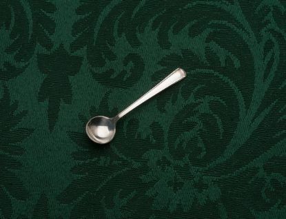Picture of Ind. Salt Spoon