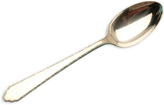 Picture of New Place Spoons: