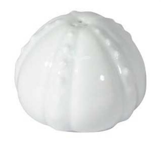 Picture of New Salt Shaker