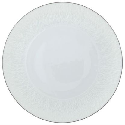 Picture of New Service Plate 12"