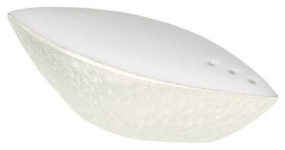 Picture of New Salt Shaker