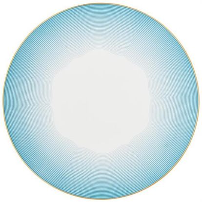 Picture of New Service Plate 12"