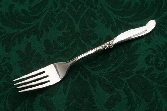 Picture of Place Forks