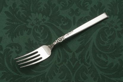 Picture of Place Forks