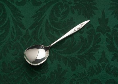 Picture of Sugar Spoon