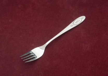 Picture of Place Forks: