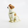 Picture of Kingspoint Designs Playful the Jack Russell Terrier Trinket Box with Matching Necklace