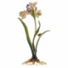 Picture of Jay Strongwater Vincent Iris Objet