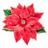 Picture of Jay Strongwater Poinsettia Objet