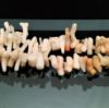 Picture of Vintage Natural Southwestern Angel Skin Coral Branch Necklace