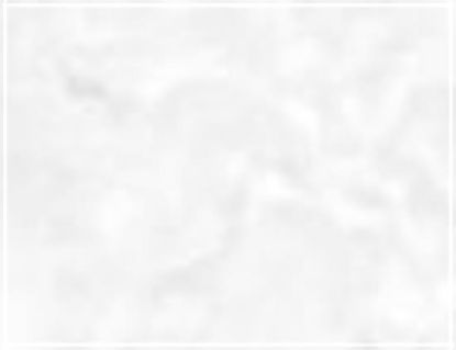 Picture of Tomato/flat Server